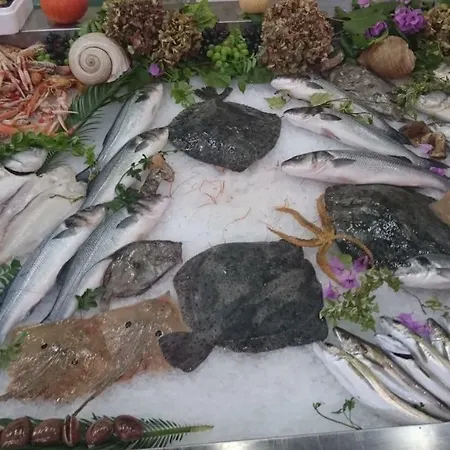 Casa de Férias Limun